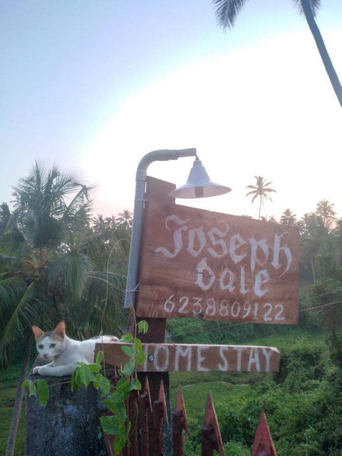 Joseph Dale Homestay Varkala Buitenkant foto